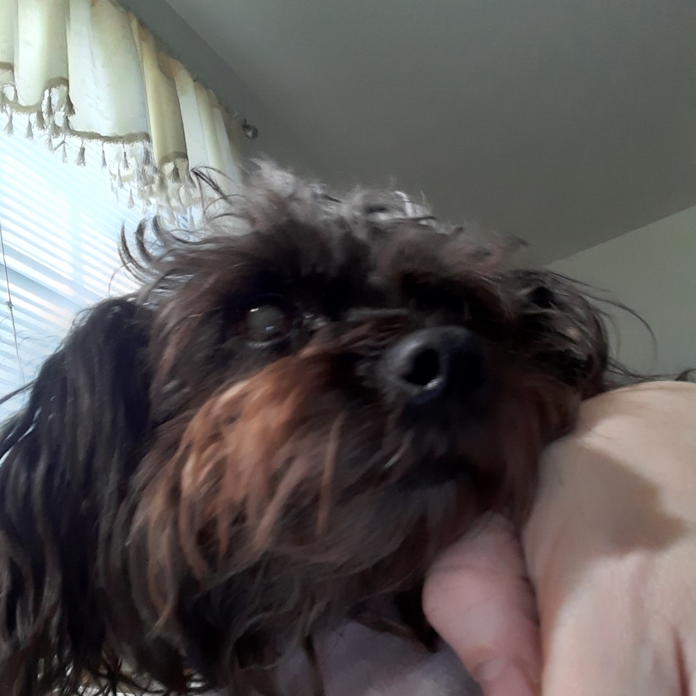 Just relaxing and hanging out.